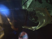 ZUR le boulon-109185